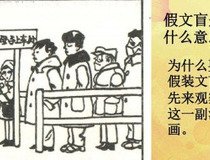 关于假文盲的作文