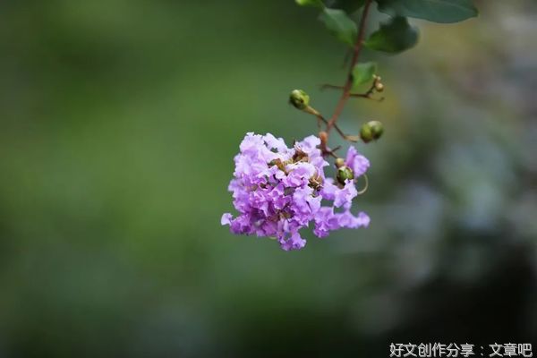 父亲的格局，母亲的情绪，是一个家最好的风水