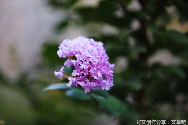 父亲的格局，母亲的情绪，是一个家最好的风水