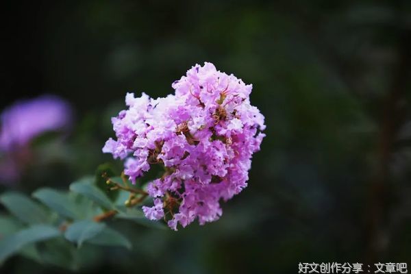 父亲的格局，母亲的情绪，是一个家最好的风水