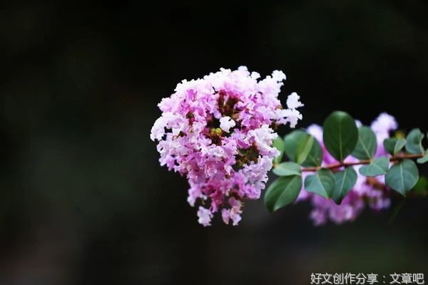 父亲的格局，母亲的情绪，是一个家最好的风水