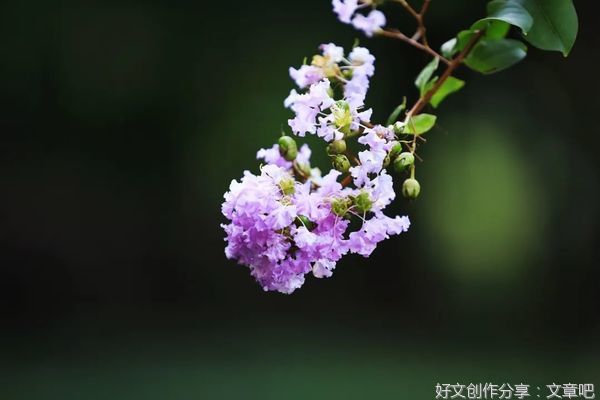 父亲的格局，母亲的情绪，是一个家最好的风水