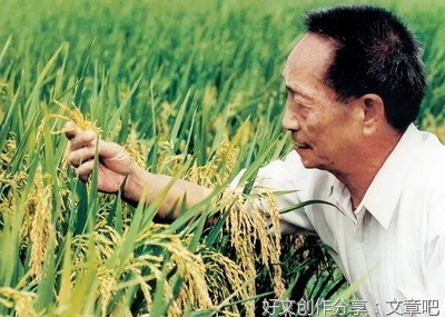 《袁隆平的故事》读后感100字