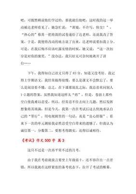 考试作文500字