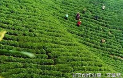 如画优美的句子
