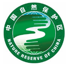 吾心之所动的句子
