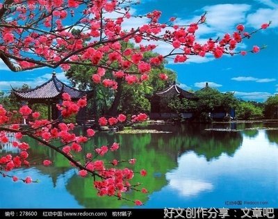 《古风》的句子
