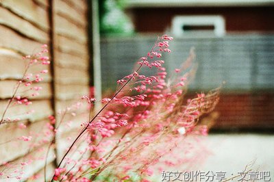 1经典的句子