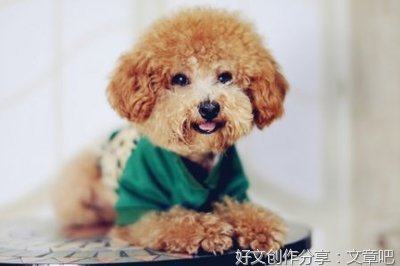关于关于我的句子