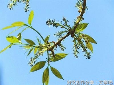 随缘的优美句子