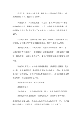 水仙花作文800字