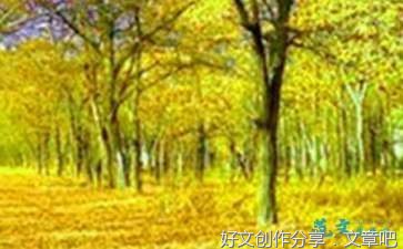 有关西湖的作文
