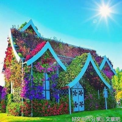 关于你只是看起来很努力的句子