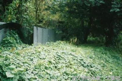 文艺范经典的句子