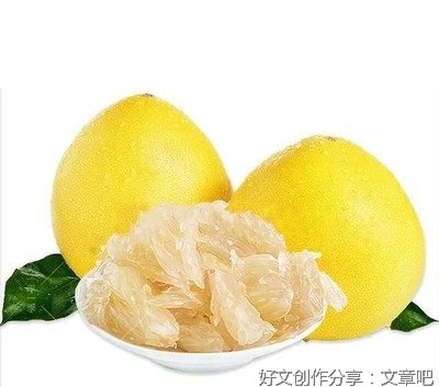 《柚子向前冲 去农村》的读后感大全