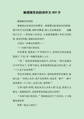 微笑作文800字