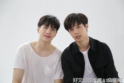 《奇迹熊先生》经典观后感有感
