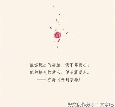 亦舒的句子