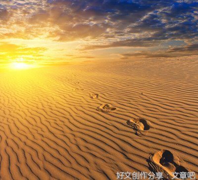 关于随心的句子
