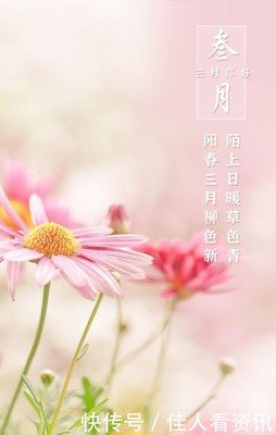 关于你好旧时光的句子