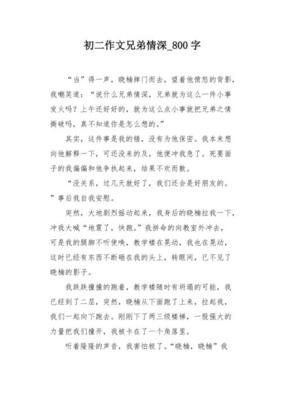 初二作文笑800字