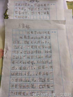 《我最喜欢的玩具》的作文