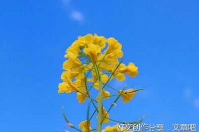 人生句子大全