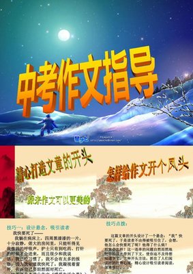 岸中考作文