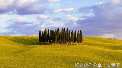 《忘了吧》的作文