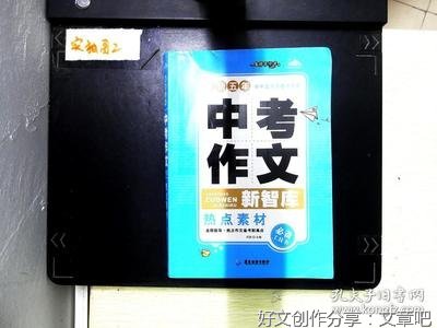 中考作文新(精选10篇)