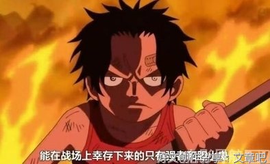 关于海贼王的句子
