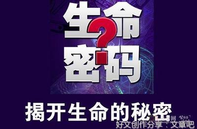 生命密码3读后感精选