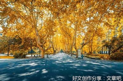 十七岁读后感锦集