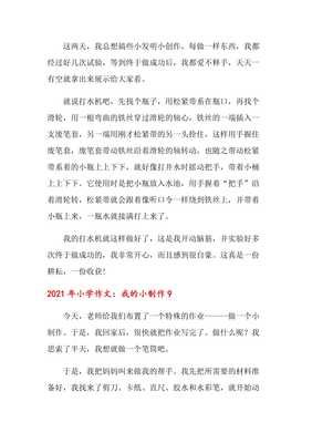 我的小制作作文大全