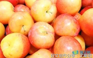 描写李子花的作文2500字