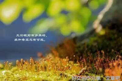 描写凌晨的优美句子10篇