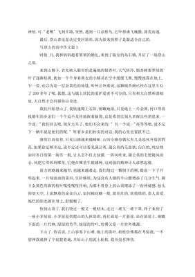 登山作文800字