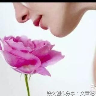 心语星愿