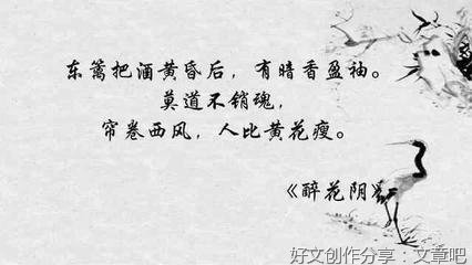相思如故经典名句