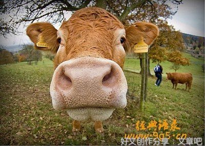友情经典的句子