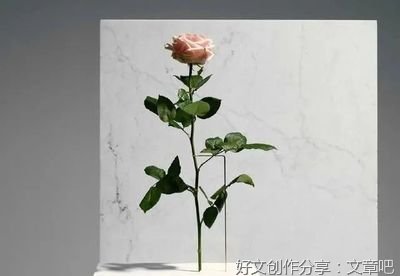 人间不只失格优美的句子