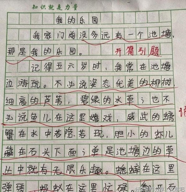 我的房间作文500字