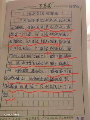 一件有趣的事情周记