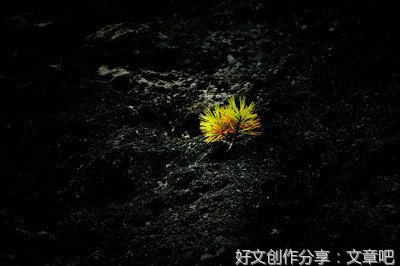 绝处逢生经典名句