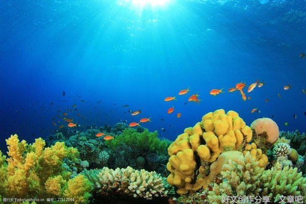 海底两万里读后感