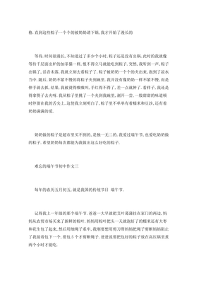 关于端午节的初中作文(精选10篇)