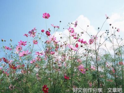 第一眼就喜欢优美的句子
