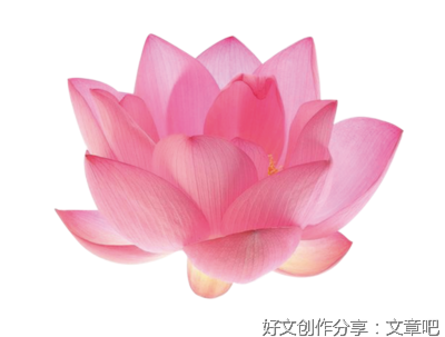《世间逢尔》的句子