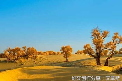 人间有所寄读后感精选