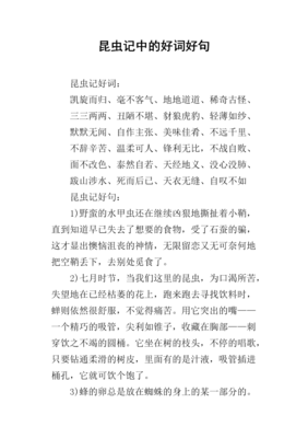 我居于无限可能读后感摘抄
